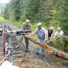 Without a saw, we had to pull this fallen snag off the rails.